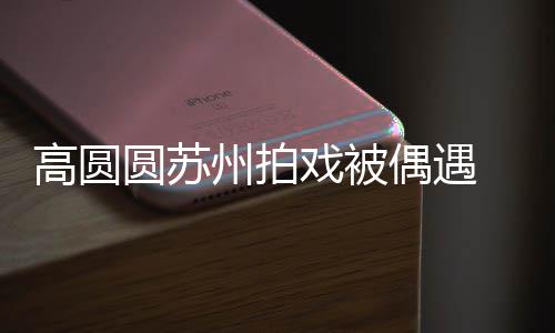 宝宝戏被 夸州拍赞网好可圆苏友的高圆爱偶遇
